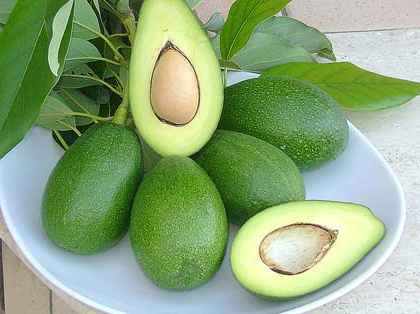 avocado